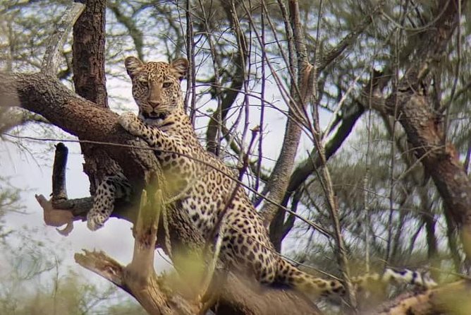 1 Day Akagera Wildlife Safaris Rwanda (2 Pax Min) - Who will enjoy this safari most