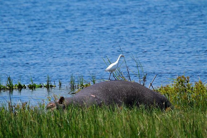 1 Day Akagera Wildlife Safaris Rwanda (2 Pax Min) - Arriving among Akagera’s hills and lakes