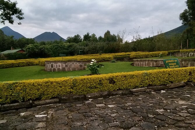 1-Day Bisoke Volcano Hiking Experience - Rainy-season concerns and realistic expectations