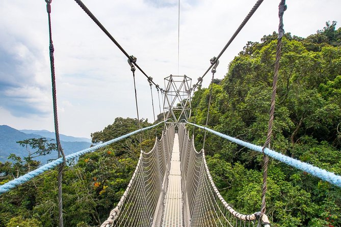1 Day Canopy Walk Adventure in Nyungwe Forest National Park - Nyanza and the last royal court of Rwanda