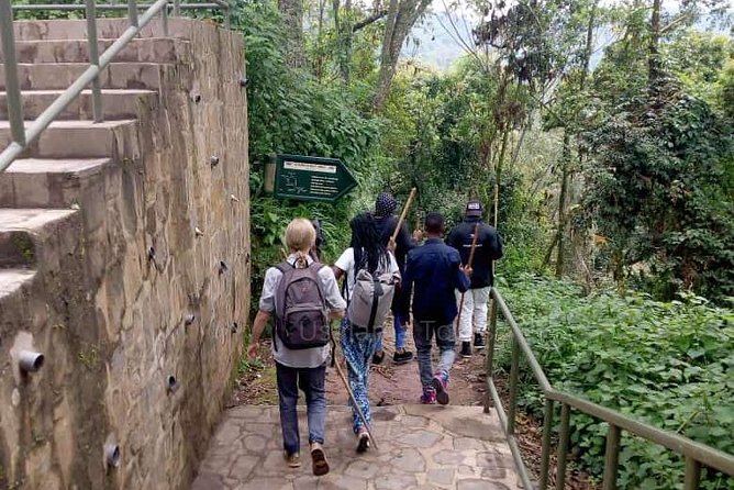 1 Day Canopy Walk Adventure in Nyungwe Forest National Park - The uphill return and the physical side of the day