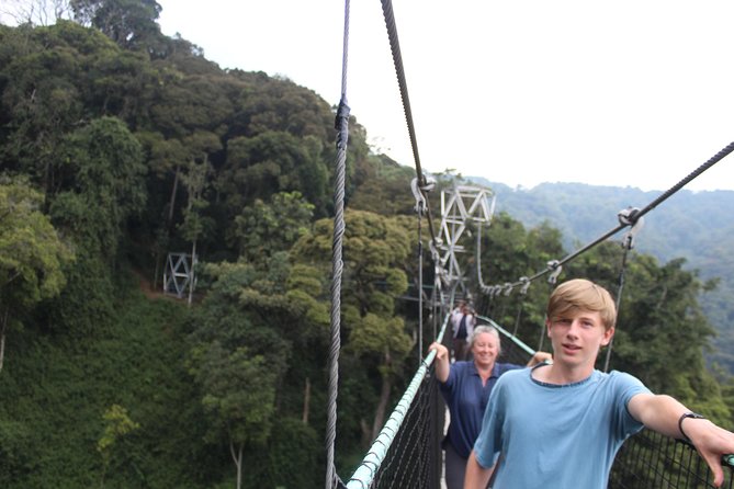1 Day Canopy walk way in Nyungwe Natioinal park - Key Points Before You Book
