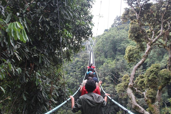 1 Day Canopy walk way in Nyungwe Natioinal park - The King’s Palace and Rwanda’s Royal Past