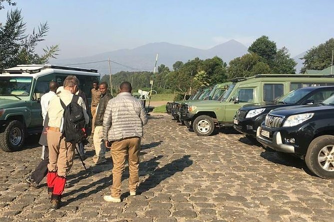 1 Day Gorilla Trekking Rwanda - The 5:00 am drive to Kinigi