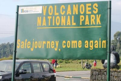 1 Day Gorilla Trekking Rwanda