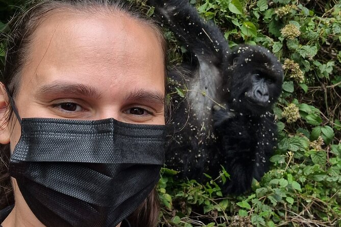 1 Day Gorilla Trekking Safari in Rwanda Volcanoes National Park - The 4:20 am start from Kigali