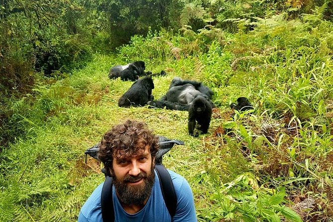 1 Day Gorilla Trekking Uganda - Why this Kigali to Uganda trip is worth considering