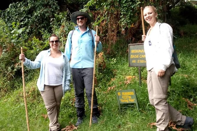 1 Day Gorilla Trekking Uganda - What the gorilla trek is really like