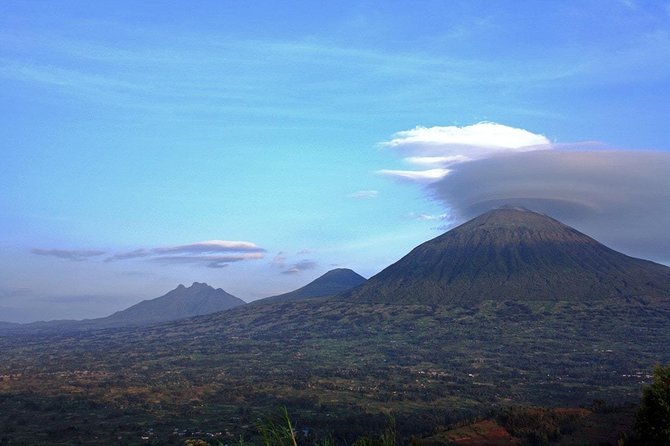 1 Day Gorilla trekking volcanoes national park - The private 4WD setup and who benefits most