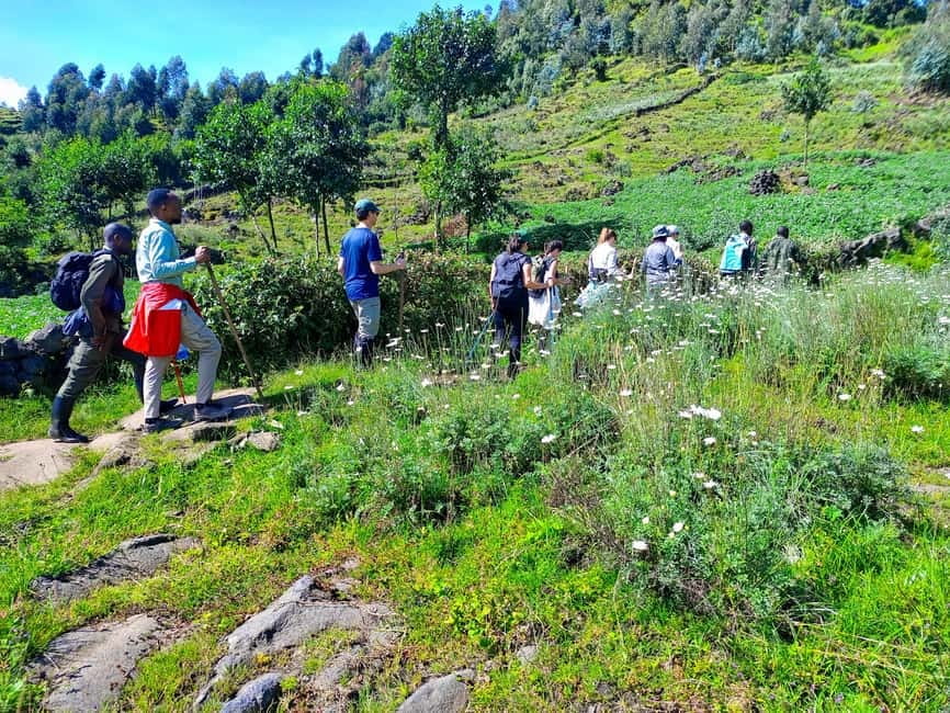 1 Day hiking (Bisoke volcano) - Guide Support and Communication