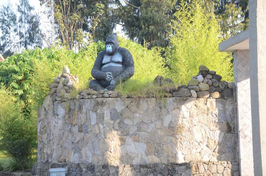 1 day Lake kivu adventure and culture tour experience. - Who will enjoy this Lake Kivu day trip?