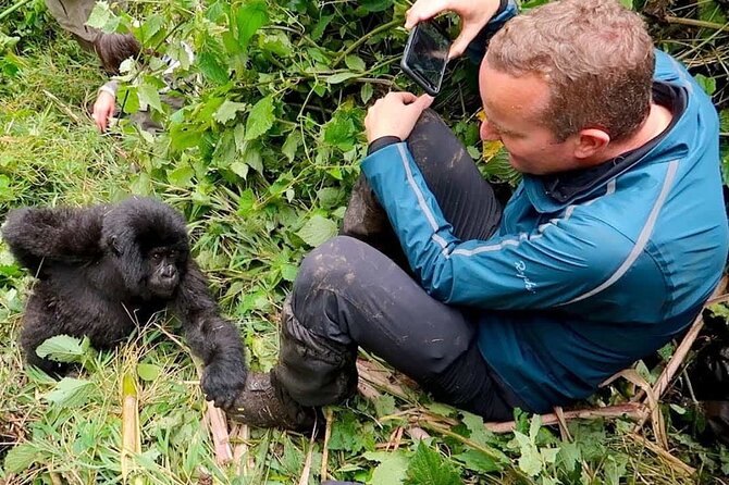 1 Day Rwanda Gorilla Trekking Tour In The Volcanoes National Park - Driving into the Volcanoes region