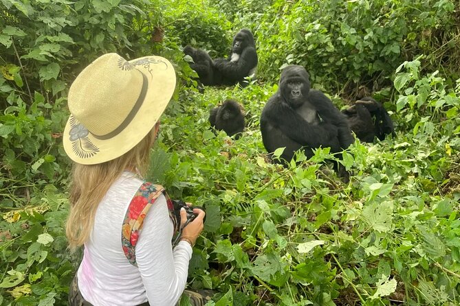 1 Day Rwanda Gorilla Trekking Tour In The Volcanoes National Park - Is $360 a fair price?
