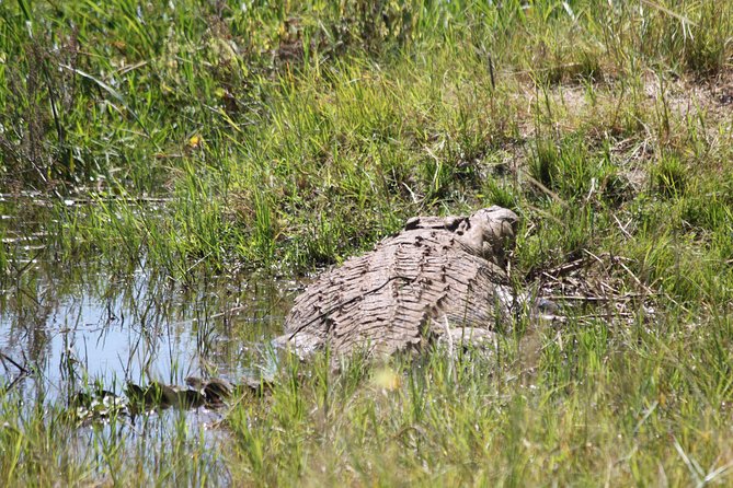 1 Day Safari to Akagera national park-Big5 Safari - Registering at Akagera National Park