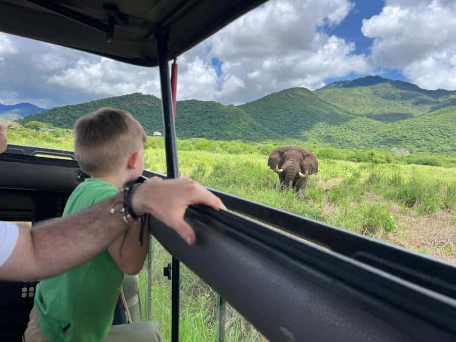 2-Day Akagera Game Drive, Boatride & Safari resort overnight - The 2.5-hour drive from Kigali to Kayonza