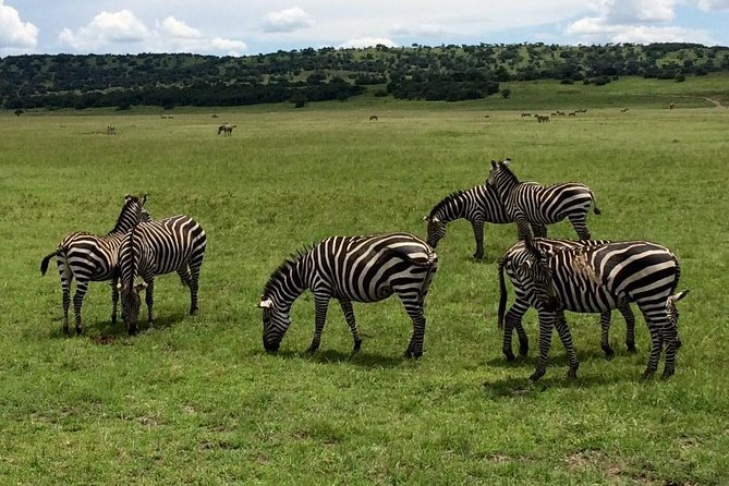 2-Day Akagera National Park Safari Adventure - Leaving Kigali at 9:00 a.m.