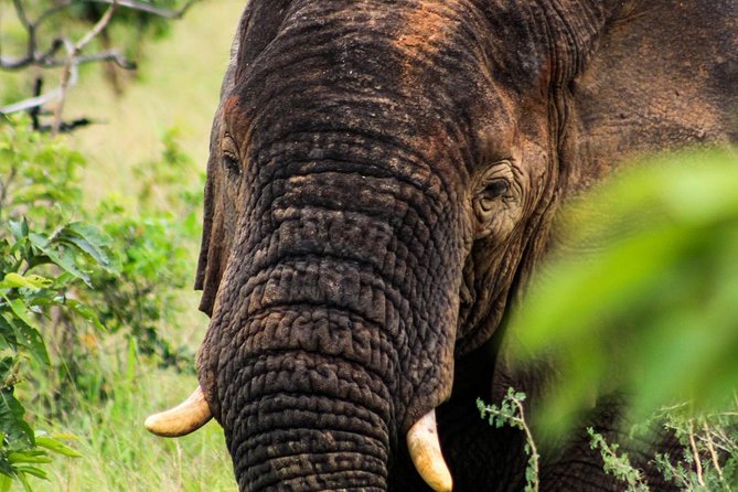 2-Day Akagera National Park Safari Adventure - What the $1,695 Price Includes