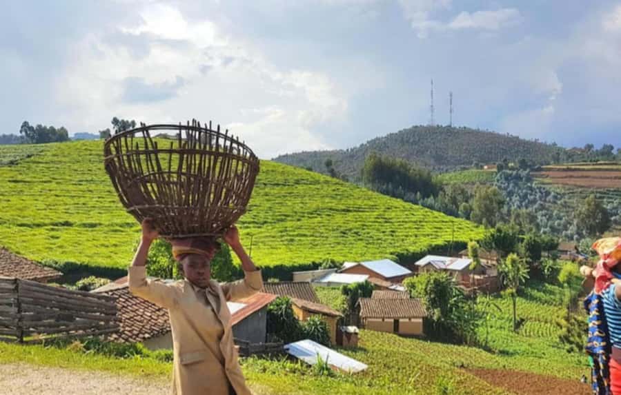 2-Day Kivu Lake Relaxing Tour with Boat Cruise - FAQ