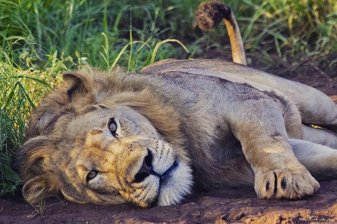 2 Days Akagera National Park Wildlife Safari - The first afternoon: lunch, lodge, and Lake Ihema