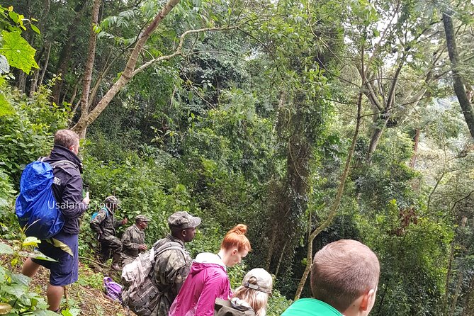2 Days Chimpanzee trekking & Canopy Walk in Nyungwe National Park - Why Nyungwe works well in only two days