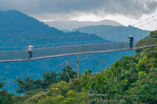 2 Days Chimpanzees trekking Tour and Canopy walk Adventure - What is praised about the guiding