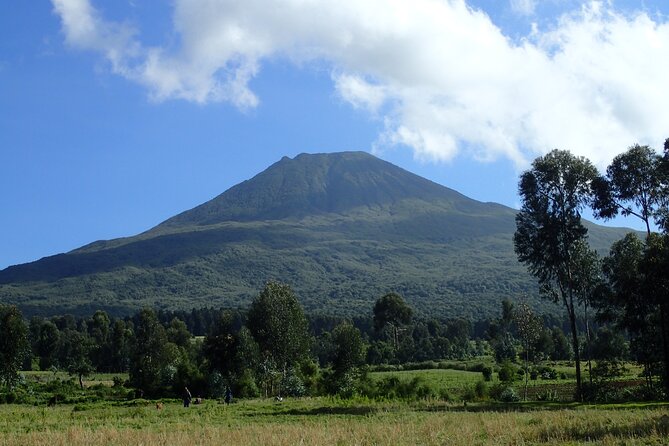 2 Days Gorilla & Golden Monkey Trekking Safaris - What the $715 price really covers