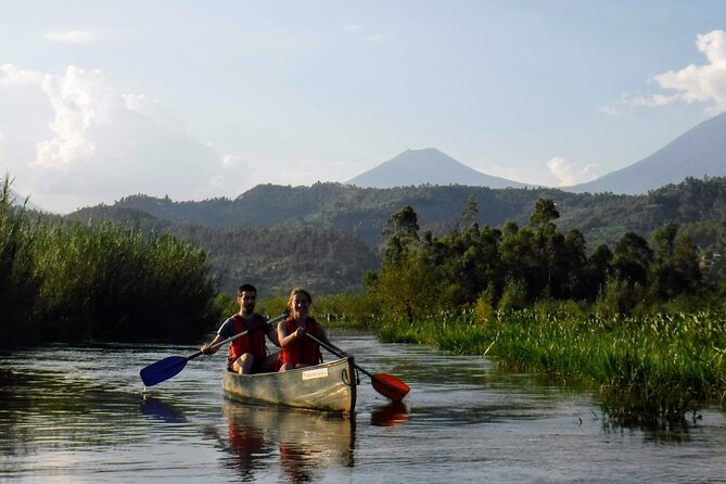 2 Days Gorilla & Golden Monkey Trekking Safaris - Golden monkeys in the forest on Day 1