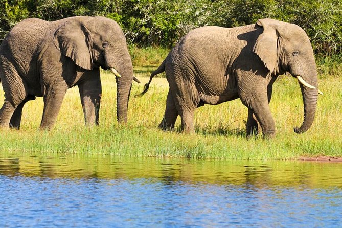 2 Days in Akagera National Park - Key points to know before booking