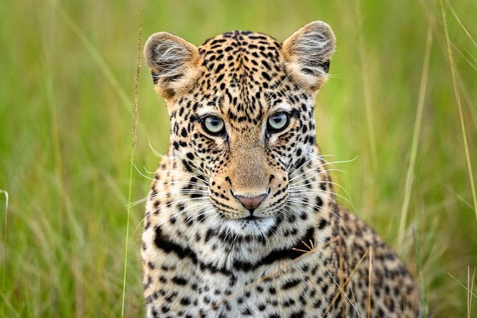 2 Days in Akagera National Park - The 7 am game drive from south to north