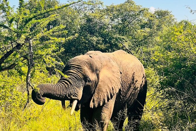2 Days in Akagera National Park - Birdwatching around Akagera’s lakes