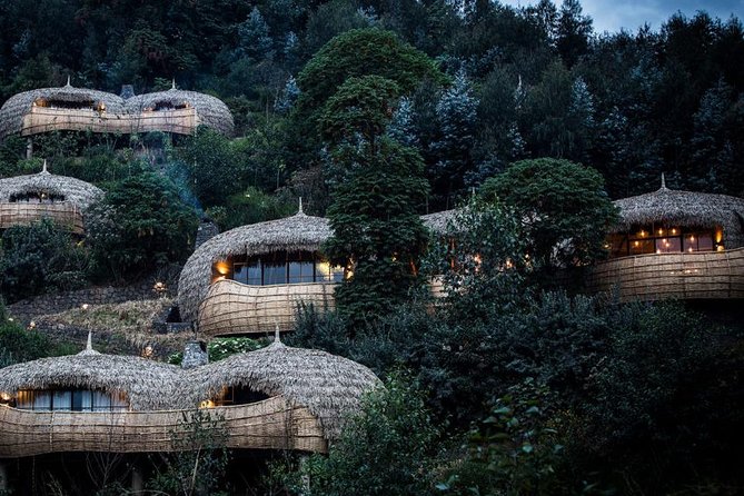2 Days Mountain Gorilla Safari Rwanda - Practical matters that can shape your day