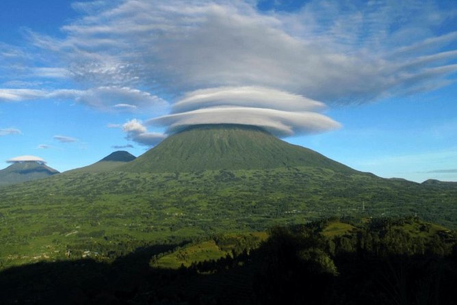 2 Days Mountain Gorilla Safari Rwanda - Who should book this safari?