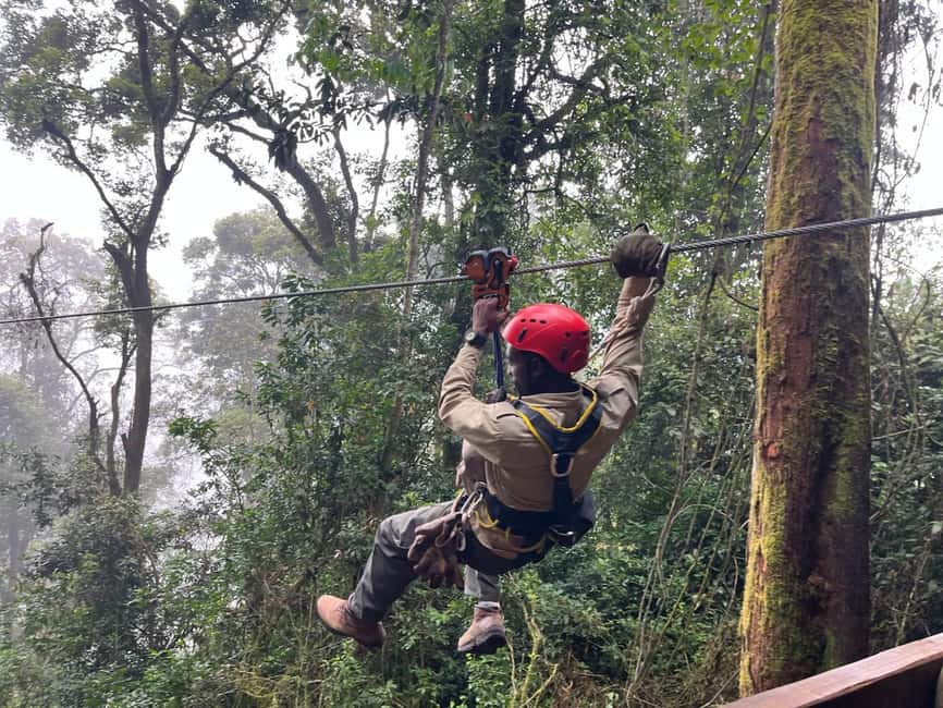 2 Days Nyungwe National Park Tours -Chimp-Canopy-Waterfall - What the $450 price really covers
