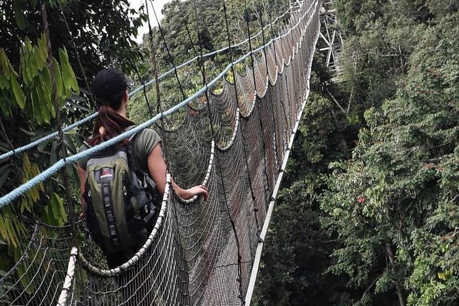 2 Days Rwanda Chimpanzee Trekking Safari - Key points before you book