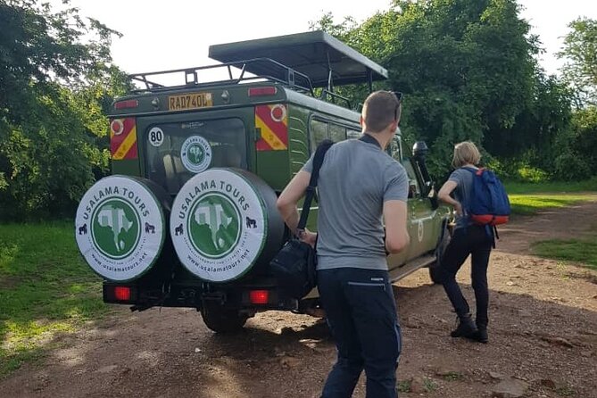 2 days trip_Akagera National Park (Wildlife Safari) - Who should book this Akagera trip?
