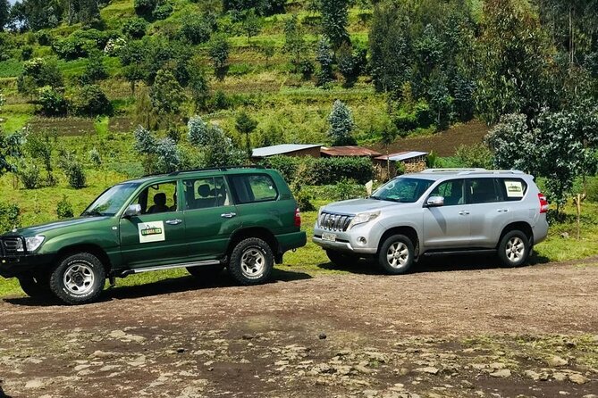 2 Days Uganda Gorilla Trekking - Why the included permit changes the price