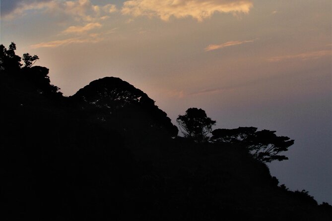 2 Days Uganda Gorilla Trekking - A first evening with the Batwa community