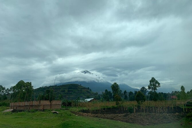 3 Day Gorilla Trek at Bwindi National Park via Kigali - Who should choose this three-day plan?
