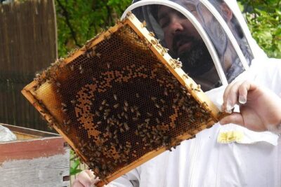 3 Day Rwanda with Bisoke Hike, Twin Lakes & Beekeeping