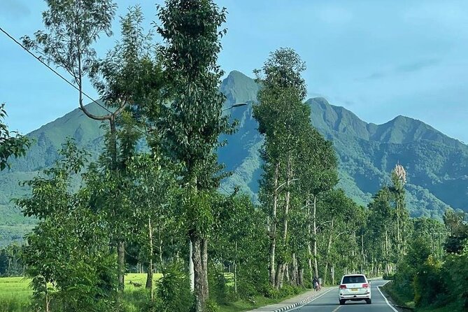 3 Days Gorilla & Golden Monkey Trekking Safaris - Day 1: Kigali city tour before Volcanoes National Park