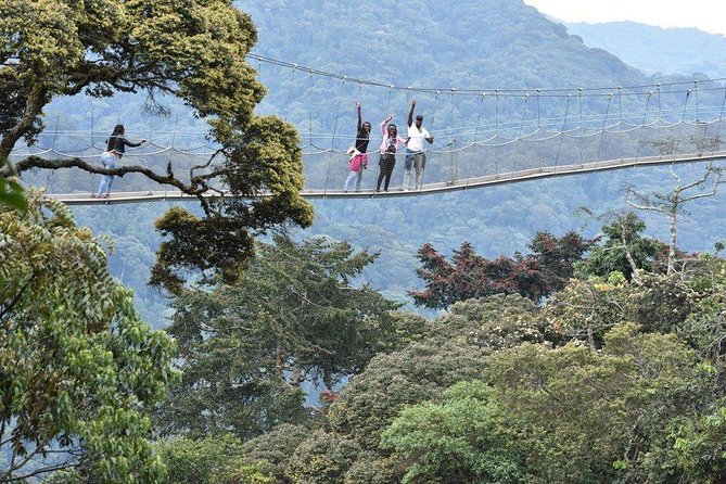 3 Days Nyungwe Natural forest tour in Rwanda - Boating around Napoleon and Amahoro Islands
