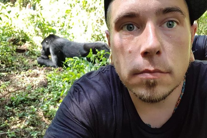 3 Days Uganda Gorilla Trekking Safari - Day 2: The Bwindi gorilla trek