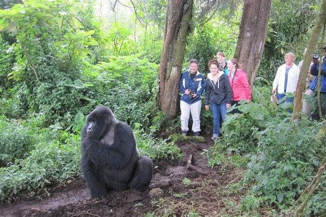 4 Days Gorilla Trekking, Lake Bunyonyi and Rwanda National Parks - Day 1: Kigali’s past and the Virunga foothills