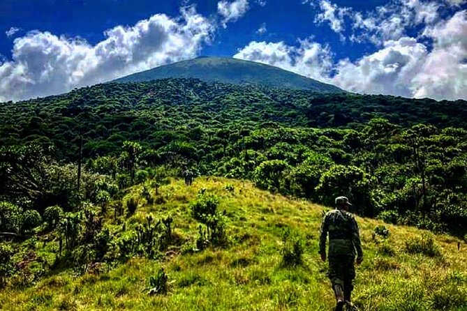 6 days Private Rwanda Primates and Wildlife Experience Tour - Starting in Kigali after your flight