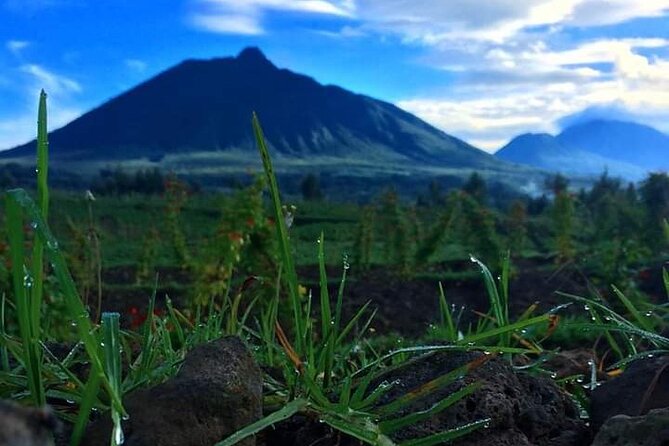 6 days Private Rwanda Primates and Wildlife Experience Tour - Gorilla trekking in Volcanoes National Park