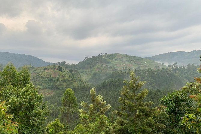 6 Days Rwanda Uganda Budget Wildlife Safari - Day 4: From Bwindi to Queen Elizabeth