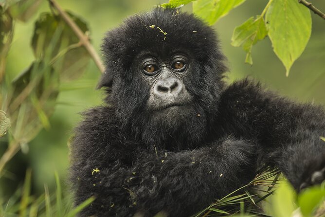 7 Days Private Tour of Rwanda - Nyanza connects the road south with Rwanda’s royal past