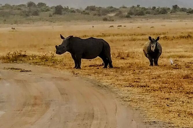 Akagera National Park 1 day Safari Experience - Heading north after lunch