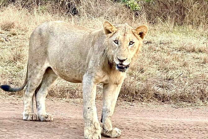 Akagera National Park 1 day Safari Experience - Arrival at Akagera National Park