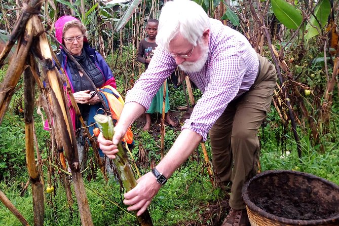 Banana beer brewery - Why banana beer matters in Rwanda
